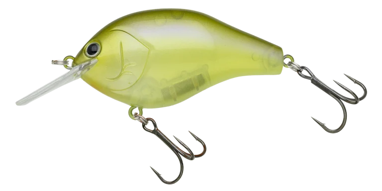 マルノミフラットコブリ53