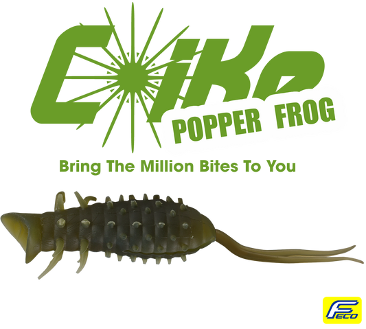 ハイドアップ コイケポッパーフロッグ 入荷しました☆