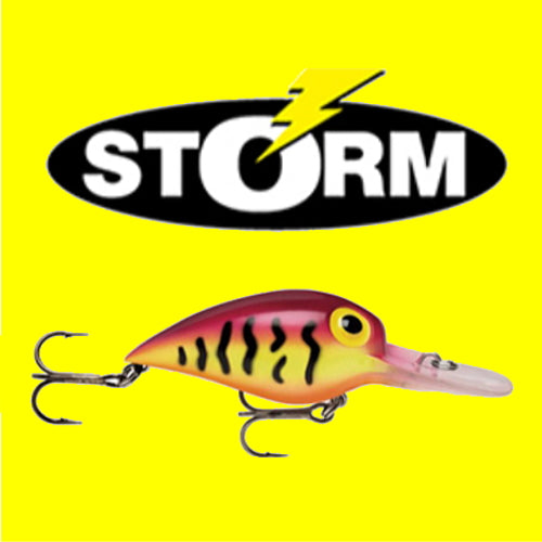 STORM（ストーム）