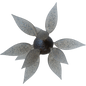 Coike Fish Gill L