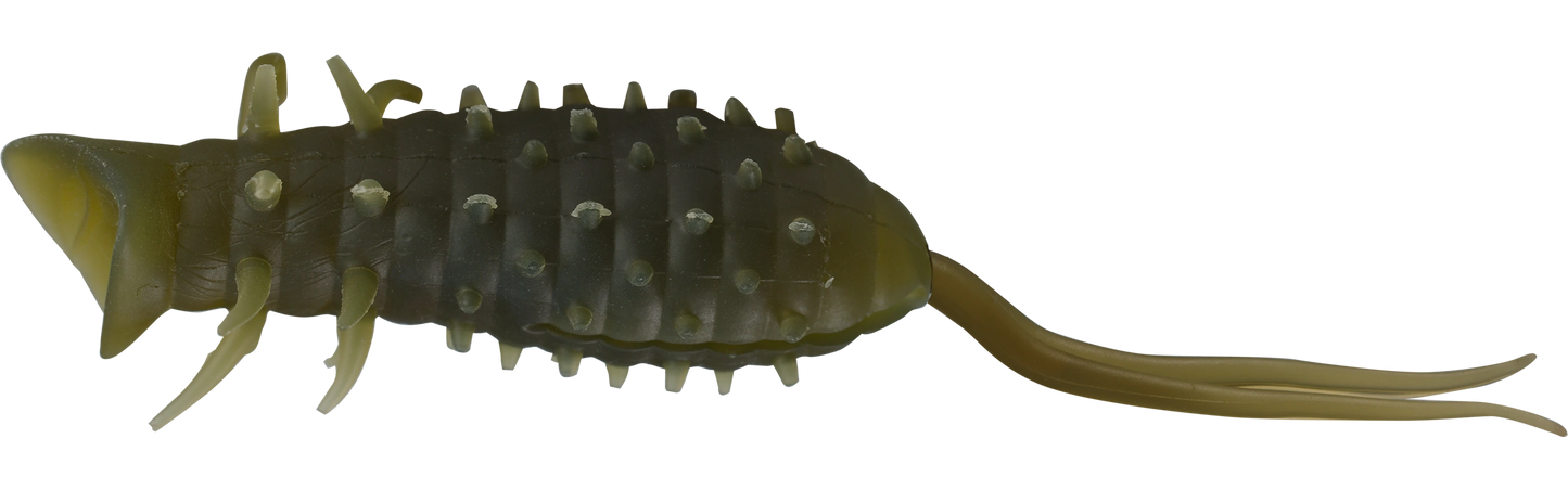 コイケポッパーフロッグ