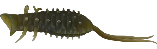 コイケポッパーフロッグ