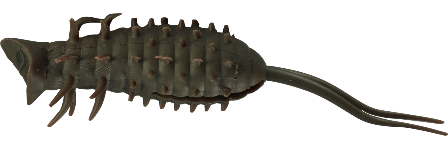 コイケポッパーフロッグ