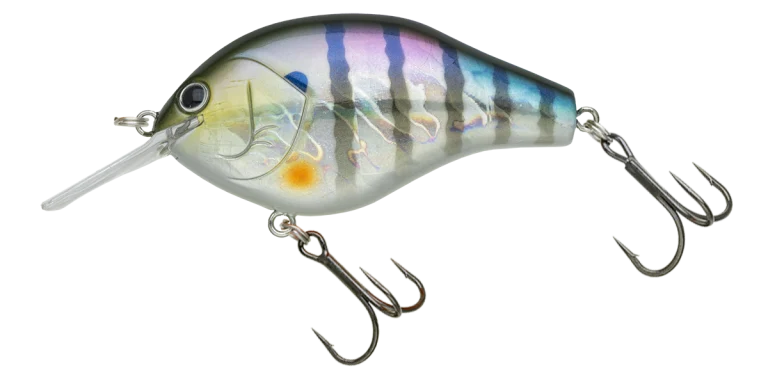 マルノミフラットコブリ53