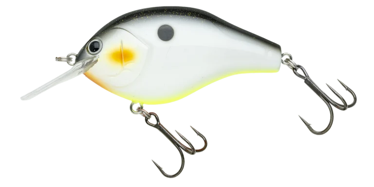 マルノミフラットコブリ53