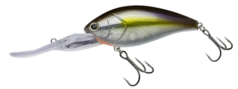 ショットオーバー5.5 BIG