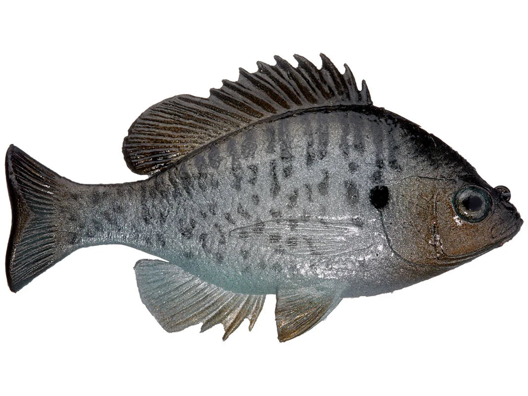 Huddleston Bluegill Top Hook | NUSHI Kyoto Japan