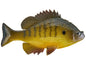 Huddleston Bluegill Top Hook | NUSHI Kyoto Japan