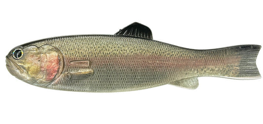 IK バスワーム145 3DR(エコ)