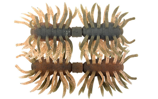 ヘアリースパイダー クジャラ110 ツートン(エコ)