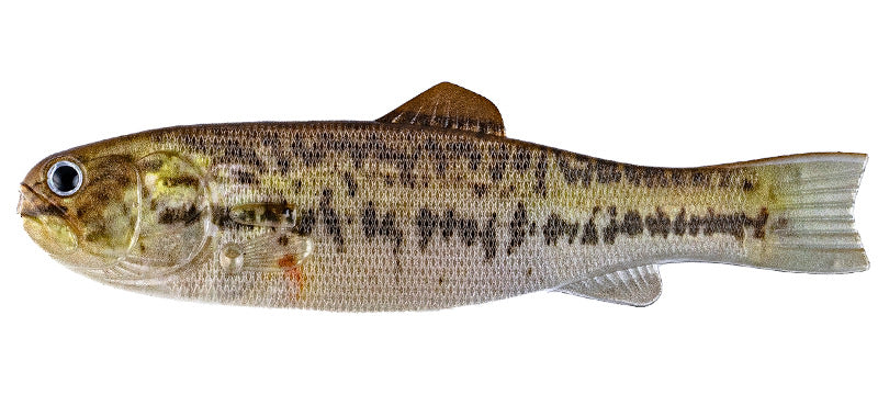 IK バスワーム145 3DR(エコ)