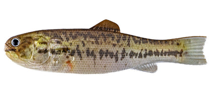 IK バスワーム145 3DR(エコ)