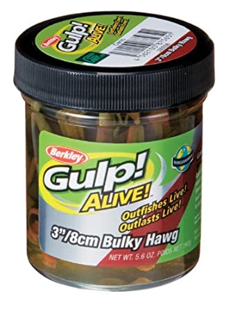 GULP!ALIVE! BULKY HOG3" Jar Type