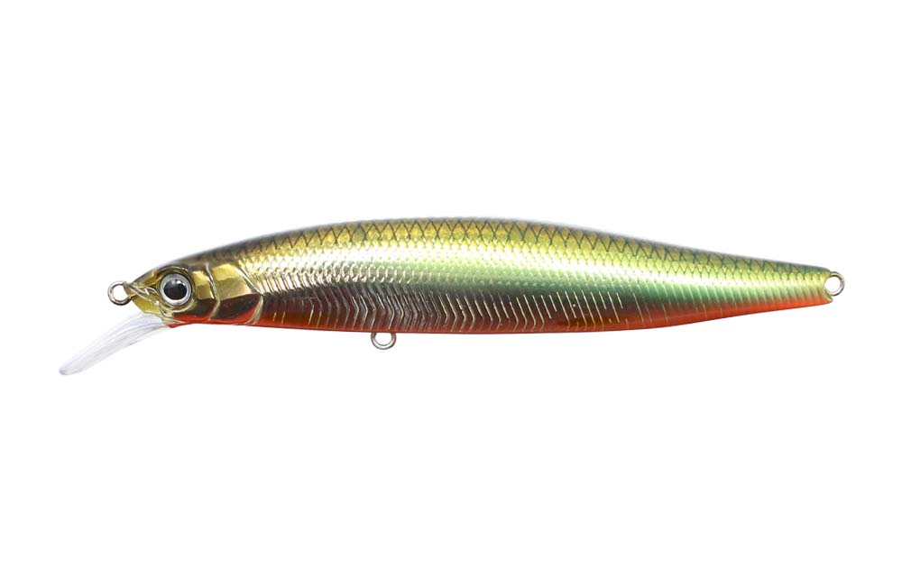 GC Minnow 89SR-SP