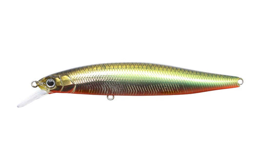 GC Minnow 89SR-SP