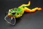 フレディ ザ フロッグ(FREDDY THE FROG WAKEBAIT) | NUSHI Kyoto Japan
