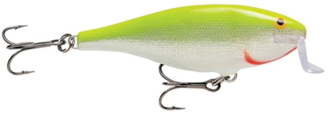 Shallow Shad Rap SSR9