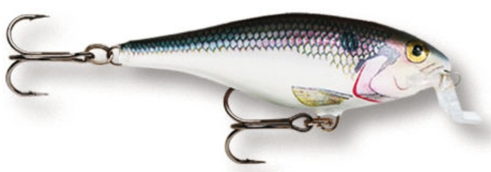 Shallow Shad Rap SSR9