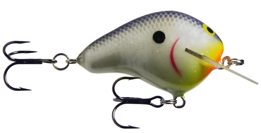 PH Custom Lures(PHカスタムルアーズ) – 主 -NUSHI-