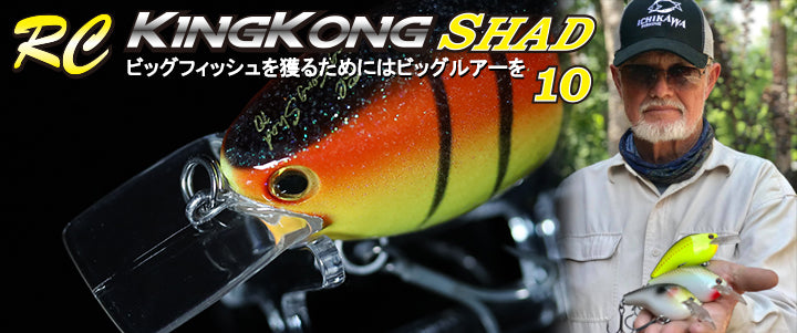 RC KINGKONG SHAD 10